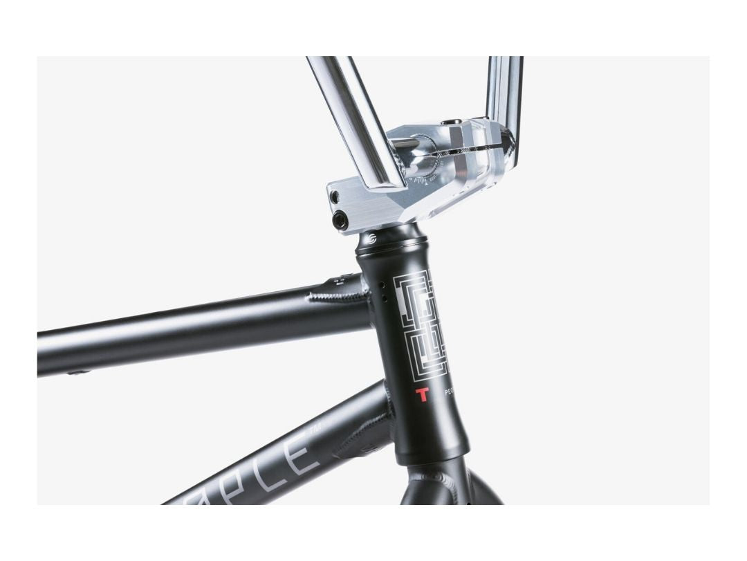 BMX WETHEPEOPLE TRUST FC 20,75" 2021