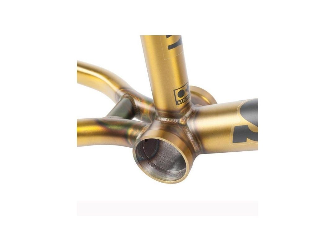 SUNDAY DISCOVERY MATTE TRANS GOLD FRAME