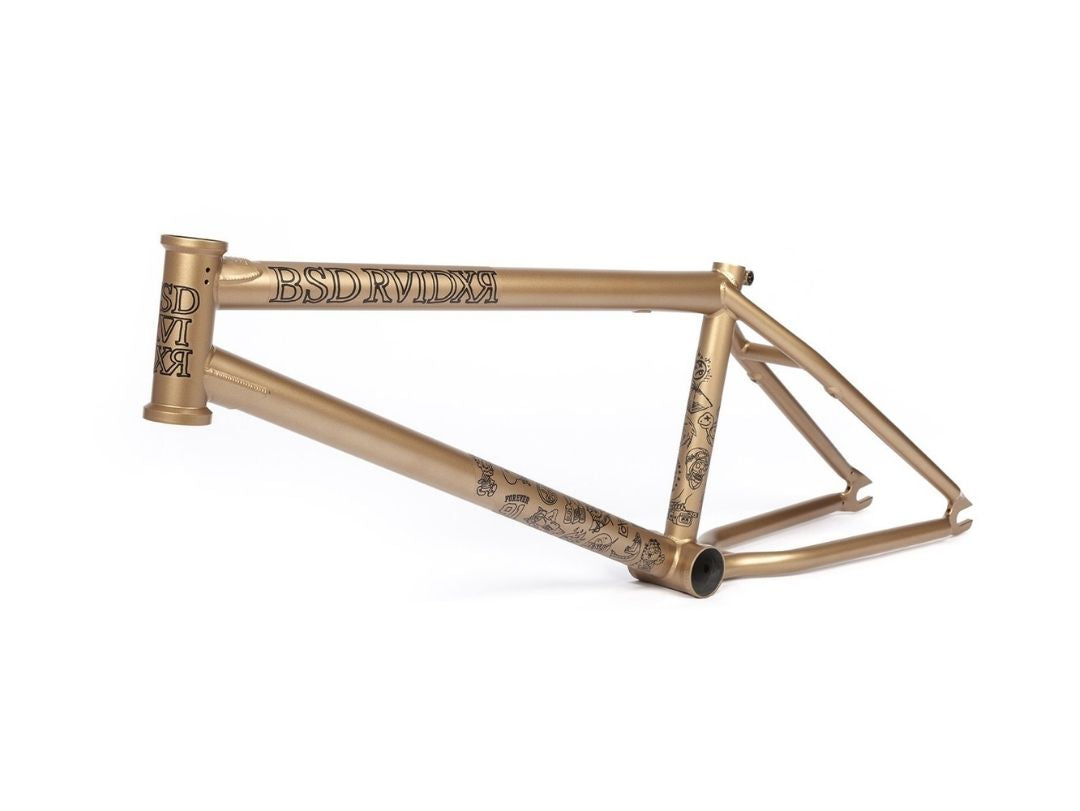 BSD RAIDER V3 2021 FRAME