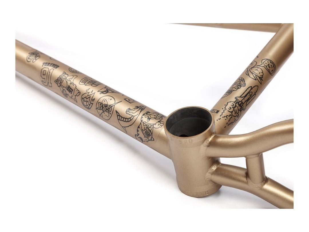 BSD RAIDER V3 2021 FRAME