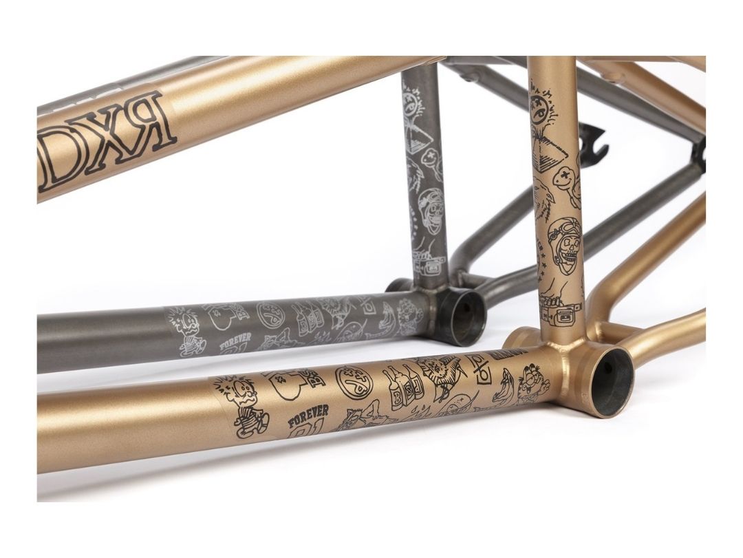 BSD RAIDER V3 2021 FRAME