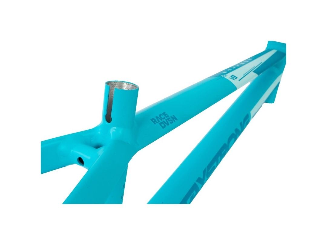 STAY STRONG FOR LIFE V3 AQUA FRAME