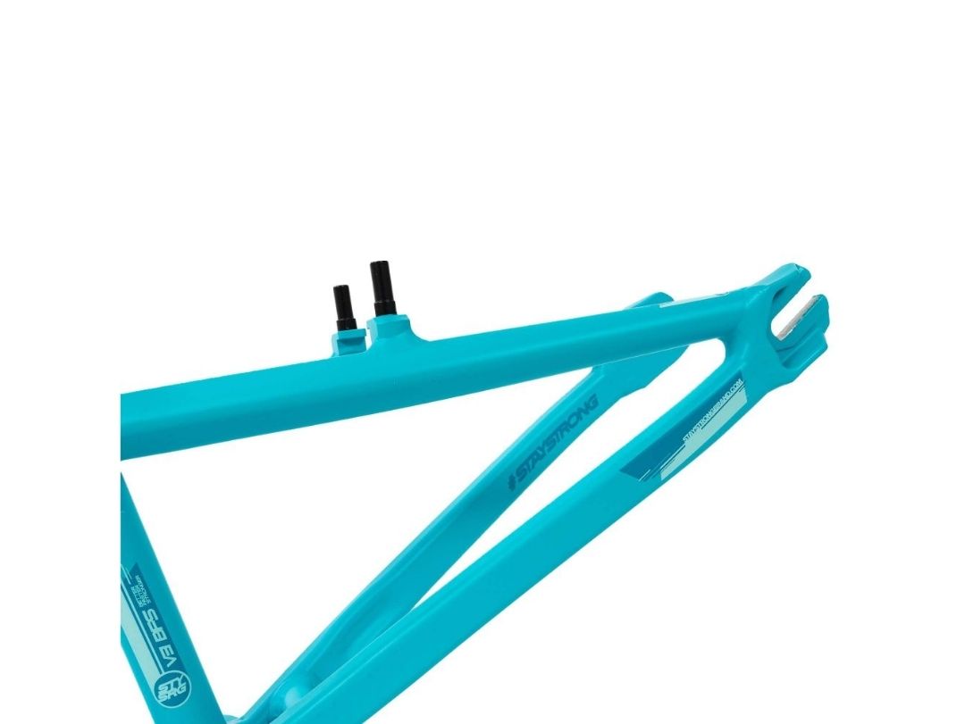 STAY STRONG FOR LIFE V3 AQUA FRAME