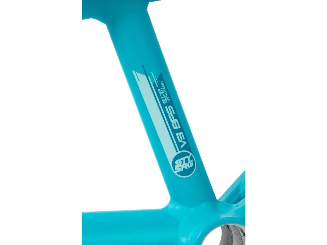 STAY STRONG FOR LIFE V3 AQUA FRAME