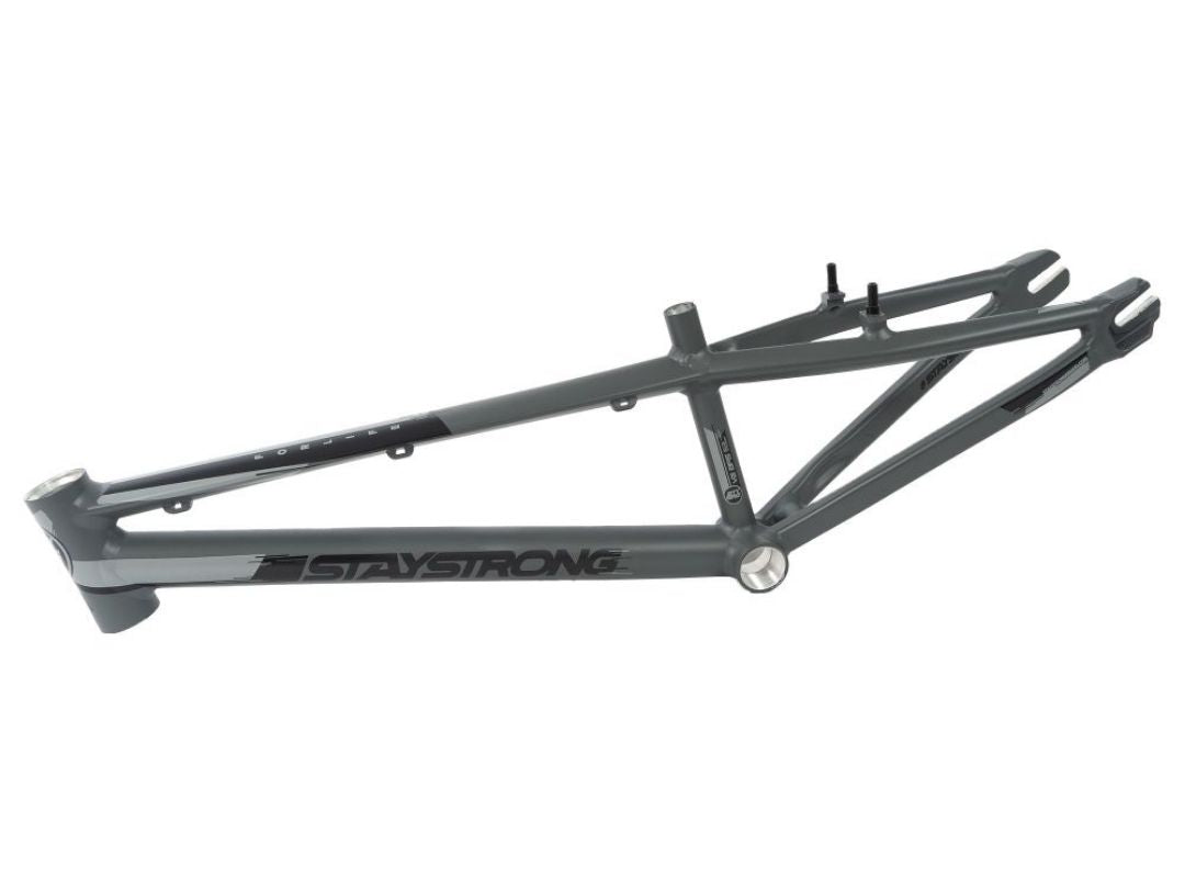 STAY STRONG FOR LIFE V3 STEALTH FRAME