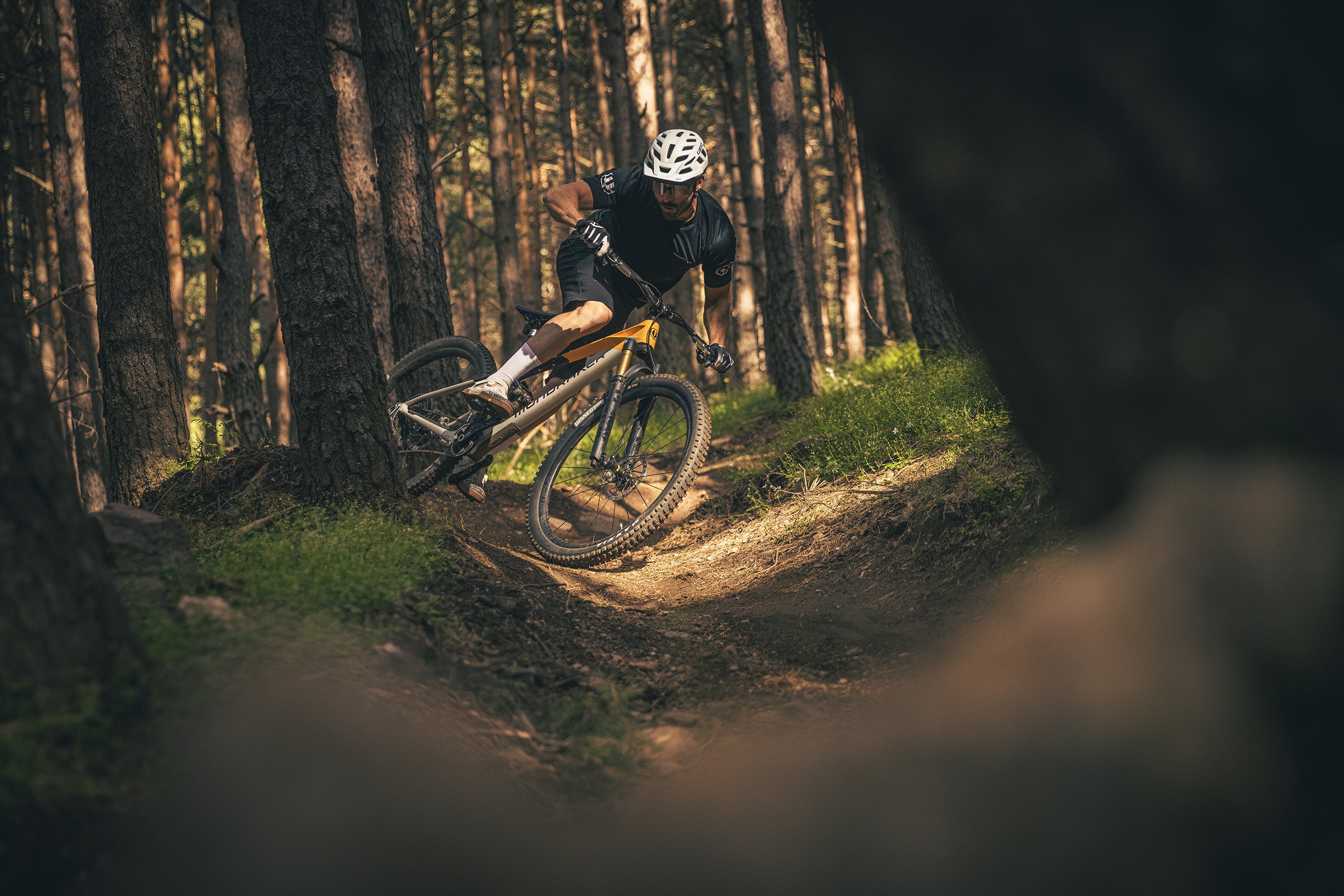 Trail