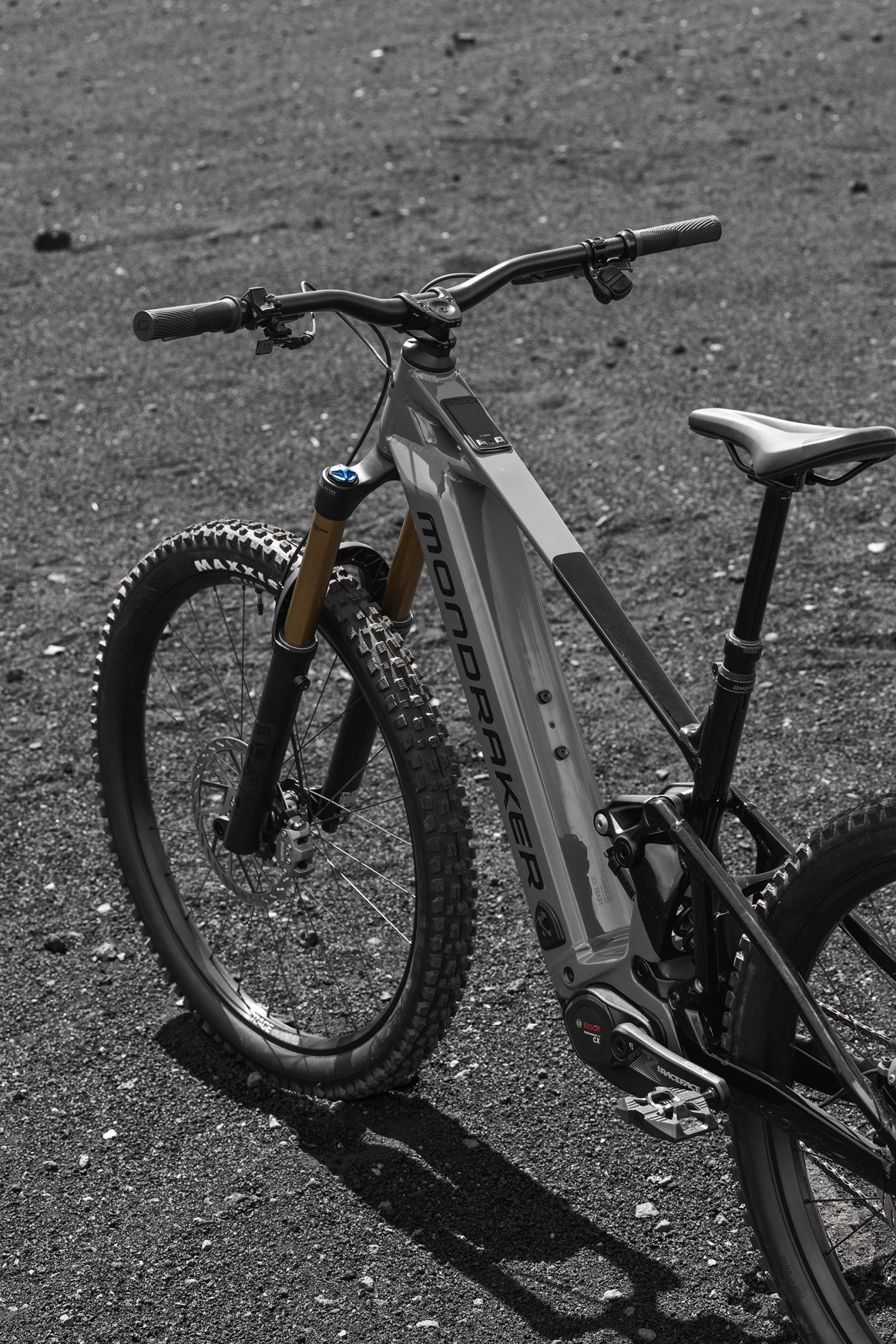 Bosch eBike System