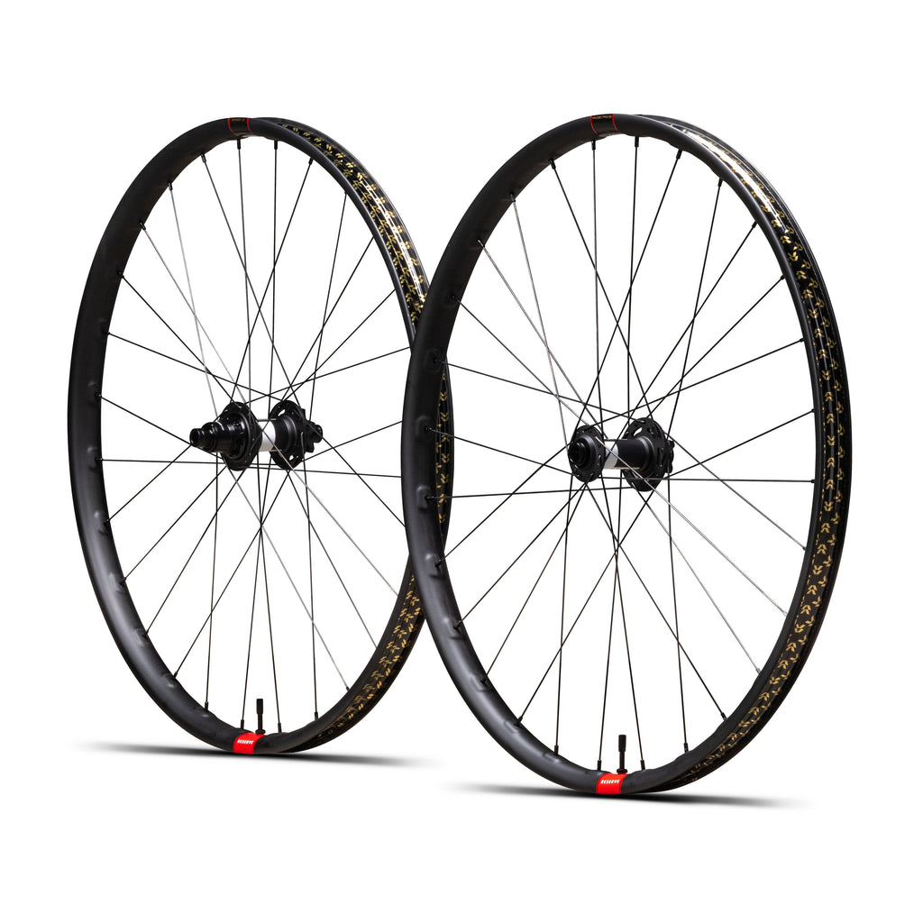 30|SL Carbon (6)