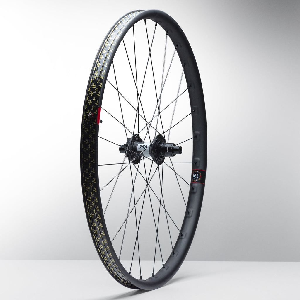 30|SL Carbon (3)