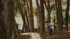mdk-cat-6a1fe7556972b043549545-kaoz-header-web.m