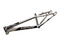 INSPYRE CONCORDE V2 IRIDIUM SILVER FRAME