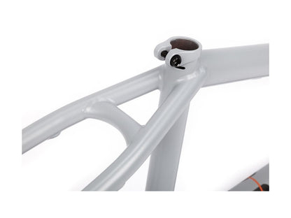 BSD FREEDOM 2021 FRAME