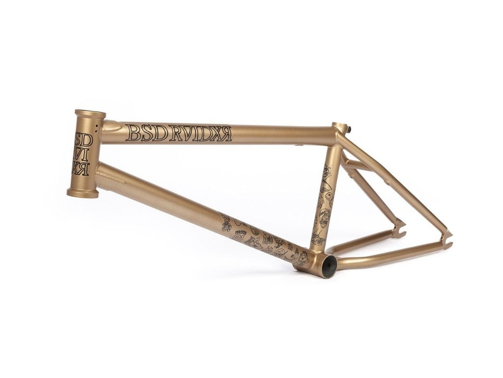 BSD RAIDER V3 2021 FRAME
