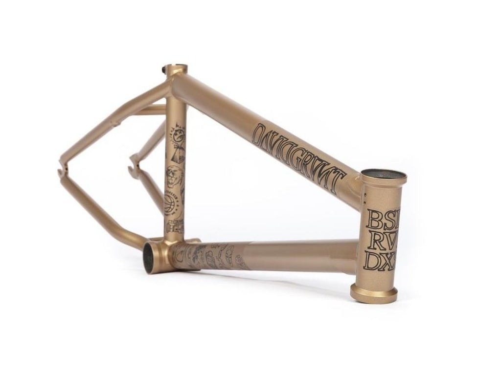 BSD RAIDER V3 2021 FRAME