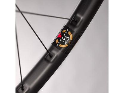 RESERVE 25 29" DT SWISS Wheelset