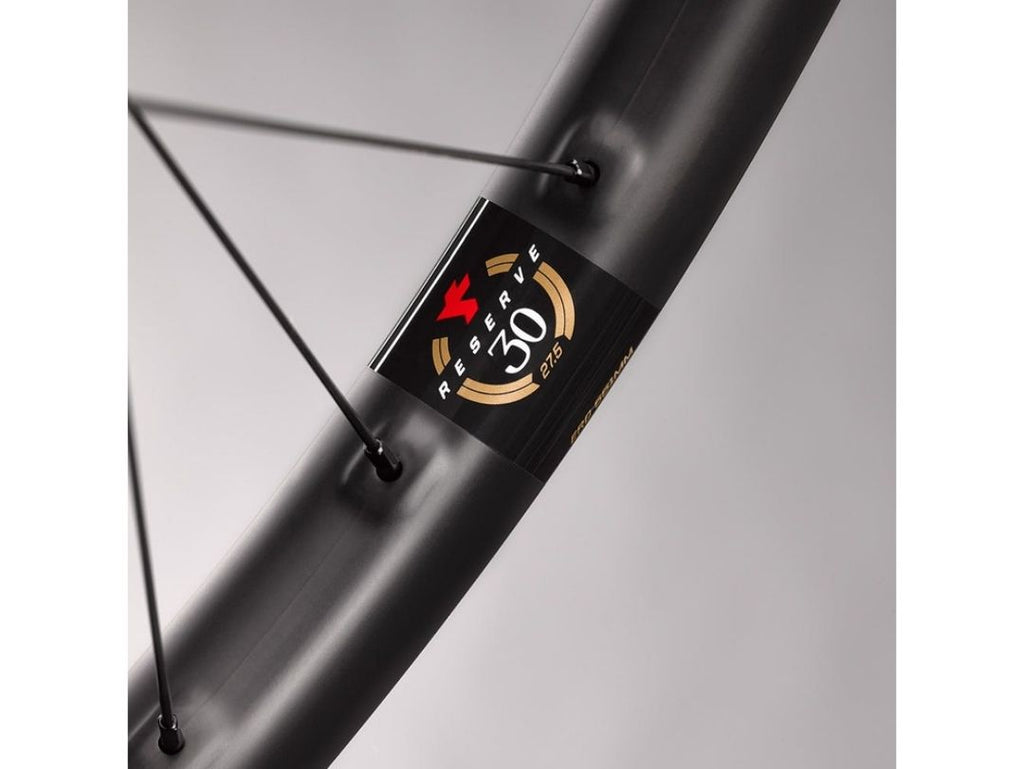 RESERVE 30 29" DT SWISS Wheelset