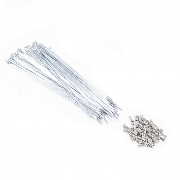 MACH1 SPOKES SILVER (X 72)