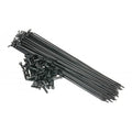 SALT PG SPOKES BLACK (X 40)